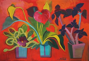 Colorful Tropical Plants