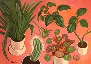 Vibrant Potted Plants