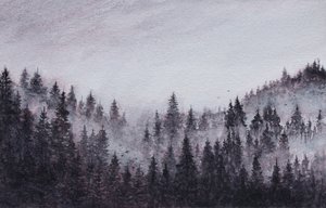 Misty Forest Landscape by Marina Kozyr