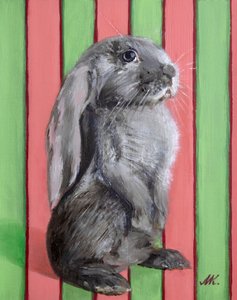 Playful Lop Rabbit by Marina Kozyr