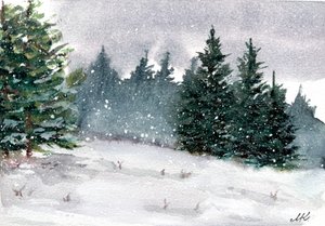 Snowy Winter Forest