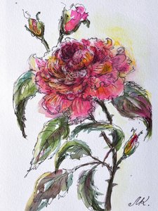 Watercolor Rose Bloom by Marina Kozyr
