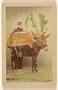 Unidentified Man with Mule Carrying Baskets of Food