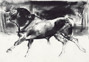 Black Bull