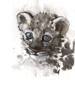 Blue Eyes (Arabian Leopard Cub), 2008 by Mark Adlington
