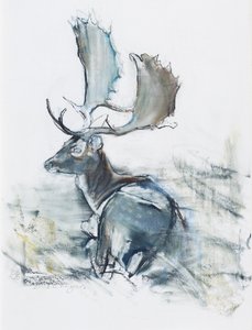 Buck in the Grass, 2006