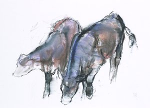 Calves