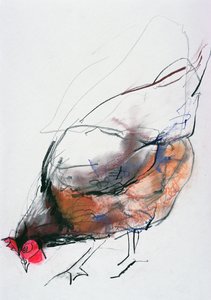 Feeding Hen, Trasierra by Mark Adlington
