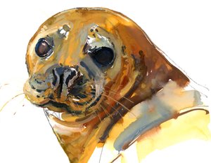 Ginger Pup, Westcove