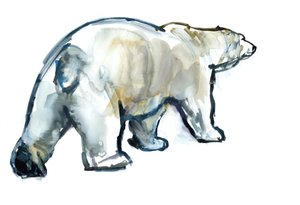 Glacier Mint (Polar bear), 2013
