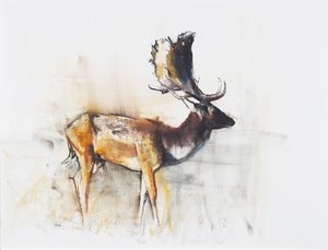 Magnificent Fallow Buck, 2006 by Mark Adlington