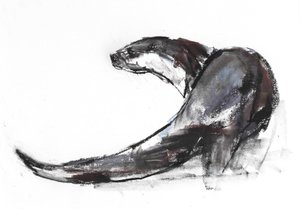 Rudder