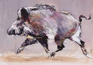 Running Boar
