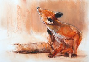 Spring Vixen, 2022