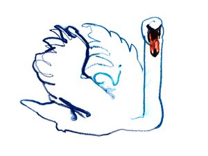 Swan, 2021