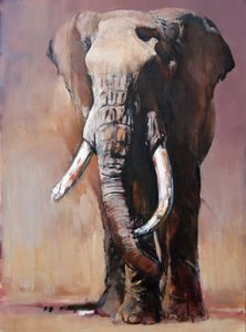 Tofauti, Chyulu Hills by Mark Adlington
