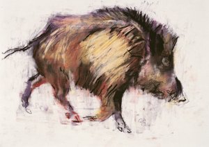 Wild Boar Trotting, 1999