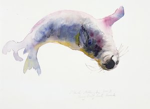 Young Grey Seal, Gweek by Mark Adlington