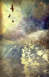 Winter Afternoon with Crows