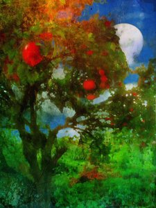 Orchard in Moonlight
