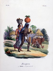 Shepherds