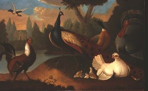 Landscape with various birds by Marmaduke Craddock