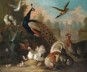 A Peacock and Other Birds in an Ornamental Landscape