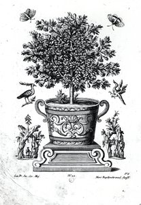 Ornamental Tree in an Urn on a Small Stage by Martin Engelbrecht