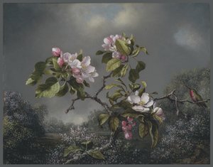 Apple Blossoms and Hummingbird, 1871 by Martin Johnson Heade