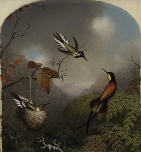 Hummingbirds: Two Sungems and a Crimson Topaz by Martin Johnson Heade