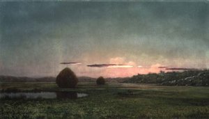 Marshes