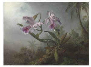 Pink Orchids and Hummingbird on a Twig, 1875 by Martin Johnson Heade