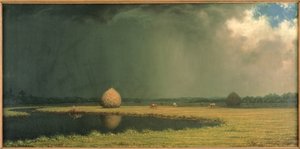 Salt Marsh Hay, c.1865 by Martin Johnson Heade