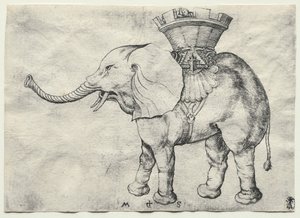 An Elephant with Howdah by Martin Schongauer