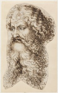 Bearded Man