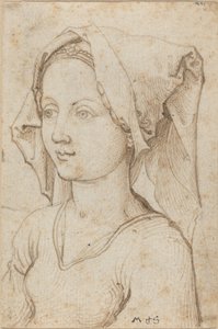 Young Woman Wearing a Scarf by Martin Schongauer