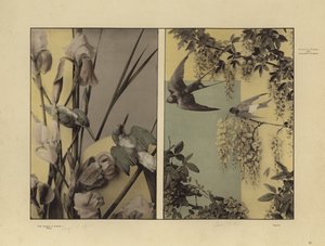 One of Martin Gerlach’s Festons und Decorative Gruppen