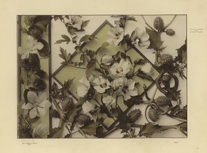 One of Martin Gerlach’s Festons and Decorative Groups by Martin senior Gerlach