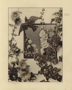 One of Martin Gerlach’s Festons und Decorative Gruppen