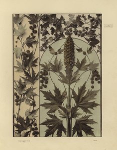 One of Martin Gerlach’s Festons und Decorative Gruppen