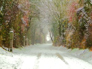 Country Road