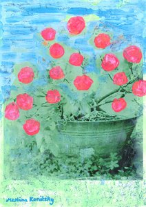 Rhododendron