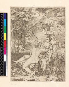 Venus and Adonis, c.1560-c.1580
