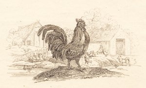 Illustration for 