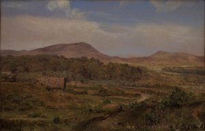 Landscape near Blokhus, Jutland