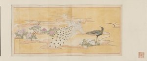 Draft Sketch for a Screen Painting by Maruyama Okyo