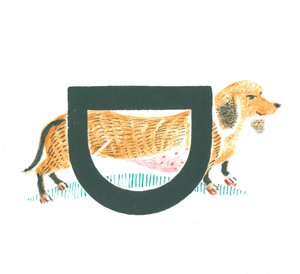 D is for Dachshund