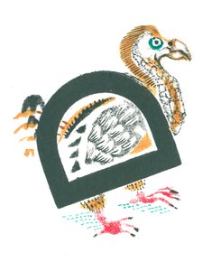 D is for Dodo