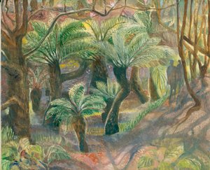 Tree ferns, Trewidden, 2012