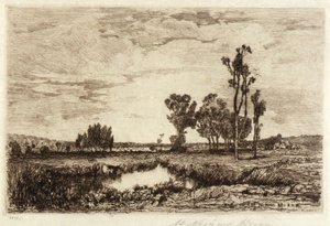 Cattle in a Pond by Mary Nimmo Moran